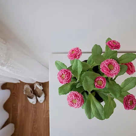 Dimora Al Mulino Dom wakacyjny